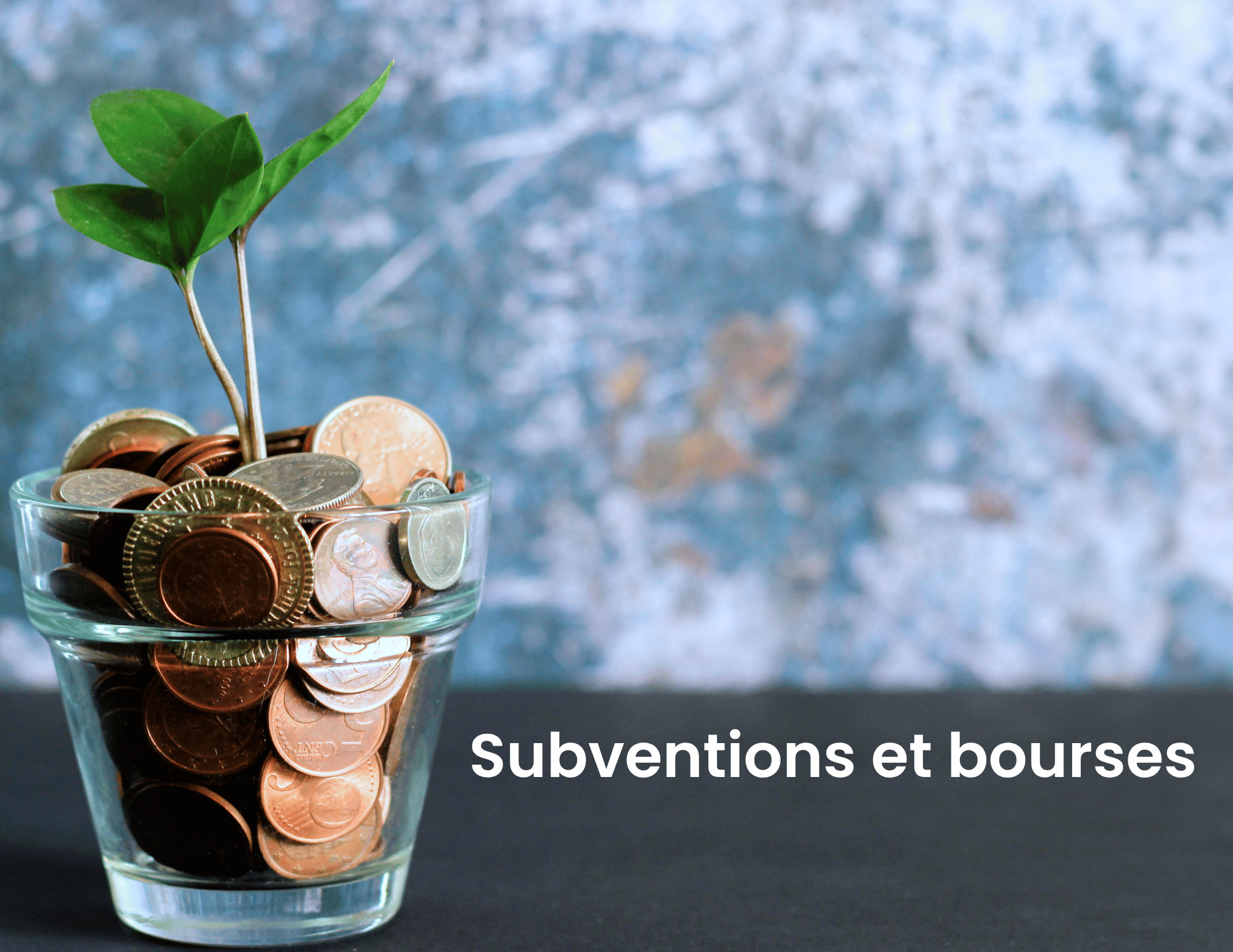 Miniature - Actualité